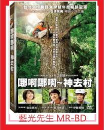 [藍光先生DVD] 神劍闖江湖2 : 京都大火篇 Rurouni Kenshin ( 台聖正版 ) 歷史價格詳細信息