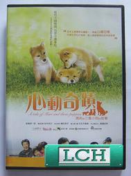 ◆LCH◆正版DVD《瑪歌皇后》-伊莎貝拉艾珍妮-全新品(買三項商品免運費) 歷史價格詳細信息