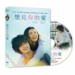 想見你someday or one day 寫真書 歷史價格詳細信息