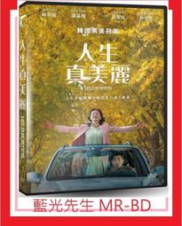 人生真美麗DVD 柳承龍 廉晶雅 邕聖祐 Life is Beautiful 台灣正版全新 歷史價格詳細信息