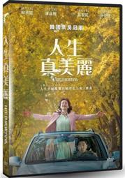 人生真美麗DVD 柳承龍 廉晶雅 邕聖祐 Life is Beautiful 台灣正版全新 歷史價格詳細信息