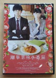 石化行業工作場所健康促進研究與實踐 張巧耘 杜鑫 9787576610994 【台灣高等教育出版社】 歷史價格詳細信息