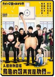 合友唱片 實體店面 行動代號 敘利亞滲透計畫 Infiltration DVD 歷史價格詳細信息