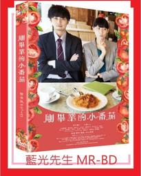 剛畢業的小番茄DVD 澀江讓二  大野絲  水石亞飛夢 台灣正版全新112/6/2發行 歷史價格詳細信息