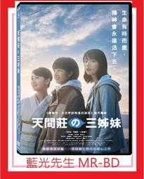 [藍光先生DVD] 天倫奇蹟 Legacy Peak ( 得利正版 ) 歷史價格詳細信息