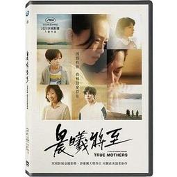 全新日影《如果這世界貓消失了》DVD 佐藤健 宮崎葵 濱田岳 如果讓摯愛消失 就能多活一天 歷史價格詳細信息