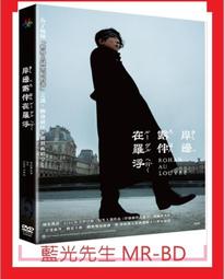 THE LOUVRE ARCHITECTURE AND HISTORY -9780500341407 歷史價格詳細信息