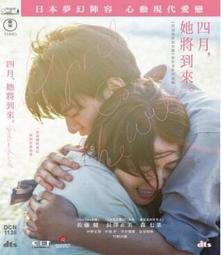 【COMET】15.5公分胖形招財手工炮飾兩入組-財運爆棚(NYF0067) 歷史價格詳細信息