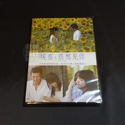全新日影《怪童：聖》DVD 松山研一 中川雅也 新木優子 日本將棋史傳奇首次搬上大銀幕 歷史價格詳細信息