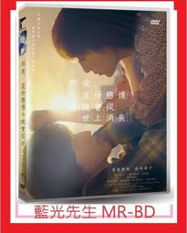 [藍光先生DVD]  這一刻，想見你 In My Heart ( 原創正版 ) 歷史價格詳細信息