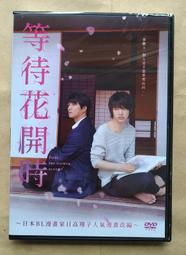 浩成電子小提琴演奏級電聲提琴靜音舞演出小提琴靜音演提琴 歷史價格詳細信息