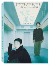 谷尼熊兒童內褲A類95棉男童內褲純色中大童四角短褲寶寶平角無痕 歷史價格詳細信息