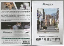 DVD 紀錄片【動物成長】2021年英語 /中字 歷史價格詳細信息