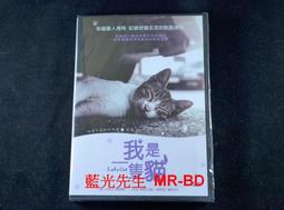 I AM A CAT/硬頁書【麥克兒童外文書店】 歷史價格詳細信息