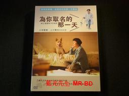 [DVD] - 為你存在的每一天 Because of You ( 得利正版 ) 歷史價格詳細信息
