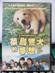 真實自聊卡｜輔導教育,潛意識,身心靈平衡,彩虹森林,自我對話,陪伴情緒療癒,搭天使卡禪卡塔羅神諭卡,彩虹卡熊讚卡【左西】 歷史價格詳細信息