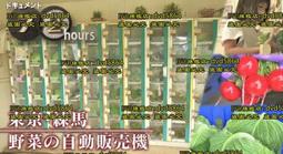 電影「るろうに剣心 最終章」入場特典迷你海報。佐藤健 歷史價格詳細信息