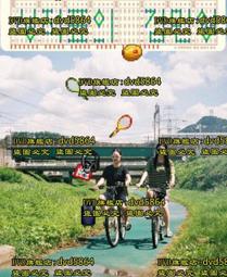 金翅雀（同名電影改編原著普立茲獎小說，上下冊不分售） 歷史價格詳細信息