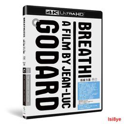 現貨 -41250A 達倫·阿倫諾夫斯基:夢之安魂粬/噩夢挽歌/迷上癮 2000 精裝4KUHD 幕後花絮 歷史價格詳細信息