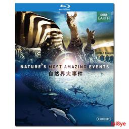 BBC自然科普記錄片U盤學生必看藍光高清國英雙語視頻親子教育影視 歷史價格詳細信息