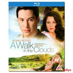 現貨真愛無悔U盤116集高清MP4 臺劇真愛無悔電視劇優盤全集臺語中字 歷史價格詳細信息