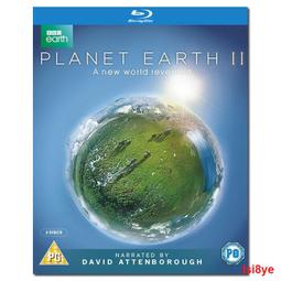 【2416人收藏】兒童手鐲女純銀嬰兒鐲寶寶銀飾粉色木蘭花串珠足銀鐲子甜美親子款 歷史價格詳細信息