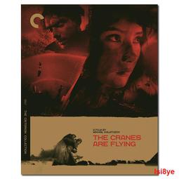 1957 A Series $1 One Dollar Vintage Blue Seal US Federal bill 歷史價格詳細信息