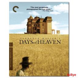 114-41美人捲-三層構造 歷史價格詳細信息