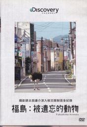 【發福中】日本生食級干貝、帶子、帆立貝柱 M (26~30粒/盒)淨重約1kg  免 歷史價格詳細信息