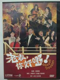 TVB港劇：(3) 射鵰英雄傳之華山論劍DVD (全20集)，黃日華＆翁美玲＆苗僑偉，全新 歷史價格詳細信息