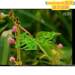 【瑞琪奧蘭】紐西蘭原裝進口-麥盧卡蜂蜜UMF10+(250g單瓶) 歷史價格詳細信息