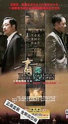 中國電視劇 青年醫生 珍藏版 16DVD 任重 張儷 歷史價格詳細信息