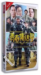 中國電視劇 青瓷 旗艦版 8DVD 王志文 張國立 韓雨芹 王海燕 2012-06 歷史價格詳細信息