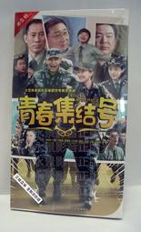 中國電視劇 青年醫生 珍藏版 16DVD 任重 張儷 歷史價格詳細信息