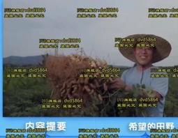 希望之國DVD，日本當代鬼才導演園子溫反核力作，台灣正版全新 歷史價格詳細信息