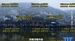 DVD 紀錄片【後疫情時代/後疫情時代中國的逆境生機：日本導演探訪中國產值暴漲的企業】2021年日語 /中字 歷史價格詳細信息