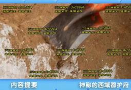 DVD 紀錄片【神奇的真菌/Fantastic Fungi】2019年英語 /中字 歷史價格詳細信息