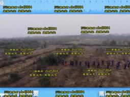 DVD 紀錄片【揭秘莎士比亞/Shakespeare Uncovered】2012年英語/中文字幕 歷史價格詳細信息