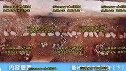 衢州地埋式箱泵一體化報價 箱泵一體化 箱泵一體化價格 歷史價格詳細信息