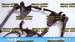 《楚國飲食與服飾研究》/姚偉鈞 歷史價格詳細信息