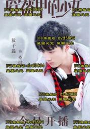 DVD 穿牆人 DVD正版二手 台北電影節 高雄電影節 東京影展<男兒本色<等待飛魚<鐵男本色<超強颱風<青藏線<前度 歷史價格詳細信息