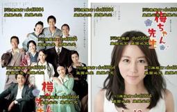 小梅醫生 大眾酒場 木製組裝模型 歷史價格詳細信息