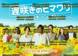 向日葵的秘密~EVERBAB一飛沖天睫毛夾 適合新手持久不塌陷 歷史價格詳細信息