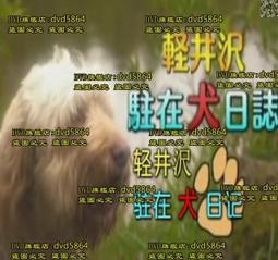 犬日無休：有你陪伴的日子【城邦讀書花園】 歷史價格詳細信息
