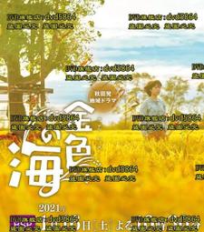 2021年海洋生態戀 海洋保育月曆 政府出版品 海洋委員會海洋保育署 熱銷現貨 歷史價格詳細信息