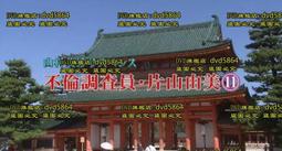 下殺&middot;11件組 大震膜高清收音 直播麥克風組 k歌麥克風 視訊 電腦麥克風 k歌麥克風 歷史價格詳細信息