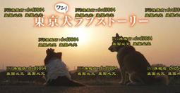 京東2023年新款電餅鐺家用雙面加熱全自動煎 歷史價格詳細信息