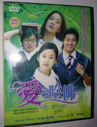 愛在哈佛 DVD(附外紙盒，4DVD，共24集。金泰熙、金來沅、金玟、李政鎮) 歷史價格詳細信息