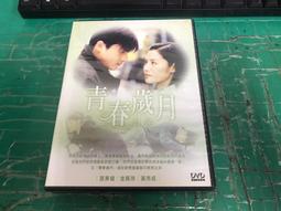 經典韓劇《青春戀歌》DVD 沈銀荷 李秉憲 宋慧喬 崔民秀 李政宰 申鉉濬 歷史價格詳細信息