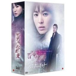 合友唱片  愛的見習生 DVD Novitiate 歷史價格詳細信息